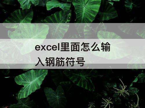 excel里面怎么输入钢筋符号