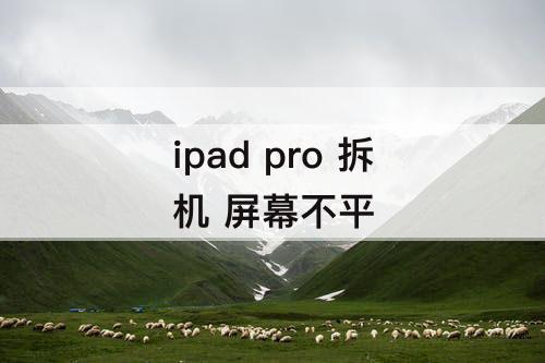 ipad pro 拆机 屏幕不平