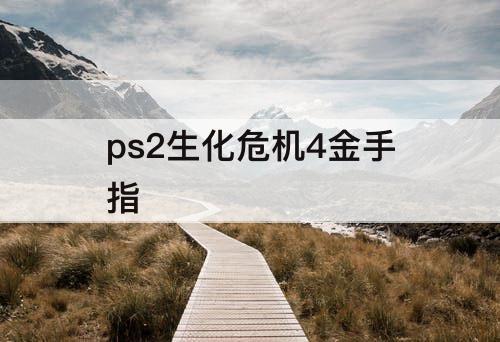 ps2生化危机4金手指
