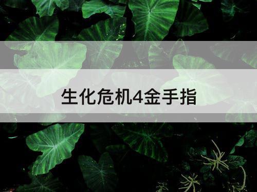 生化危机4金手指