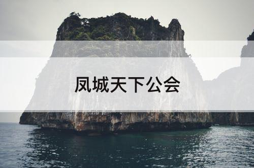 凤城天下公会