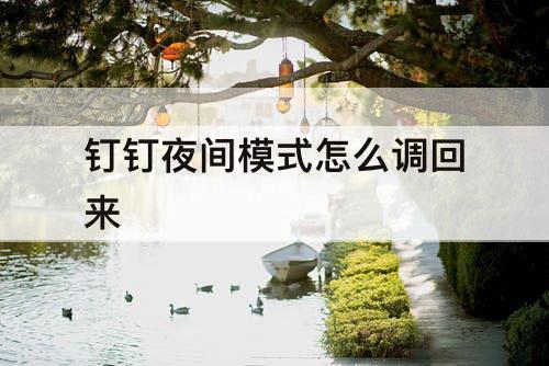 钉钉夜间模式怎么调回来