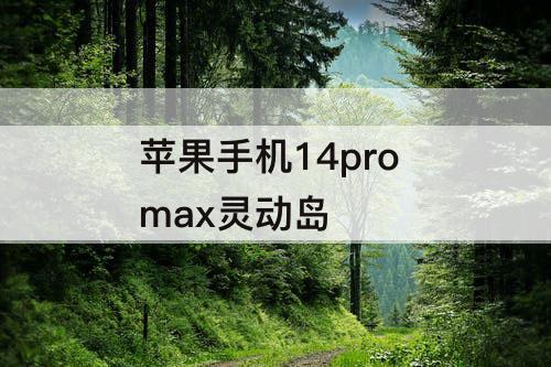 苹果手机14pro max灵动岛