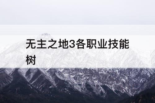 无主之地3各职业技能树