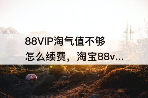 88VIP淘气值不够怎么续费，淘宝88vip淘气值不够怎么续费