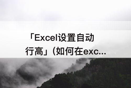 「Excel设置自动行高」(如何在excel设置自动行高)