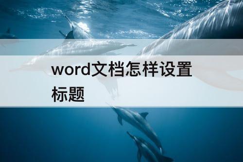 word文档怎样设置标题