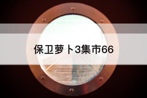 保卫萝卜3集市66