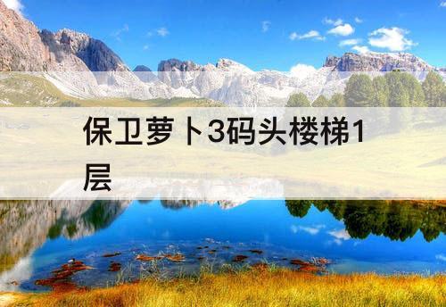 保卫萝卜3码头楼梯1层