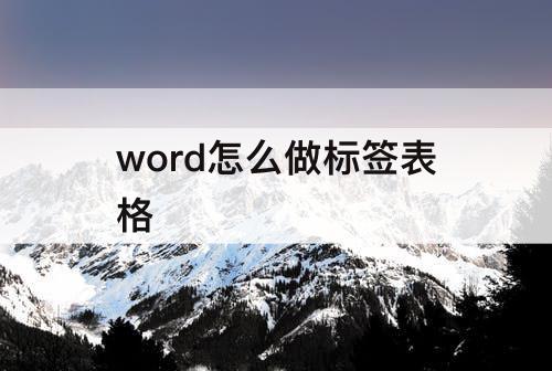 word怎么做标签表格