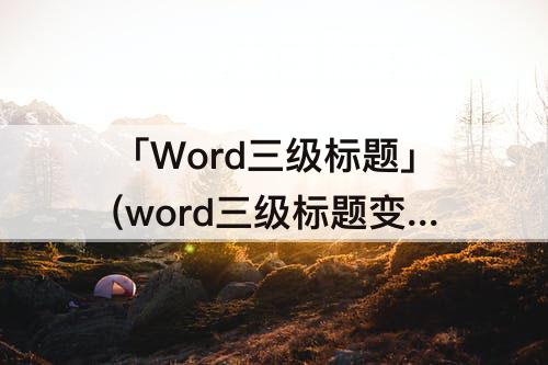 「Word三级标题」(word三级标题变成黑块)