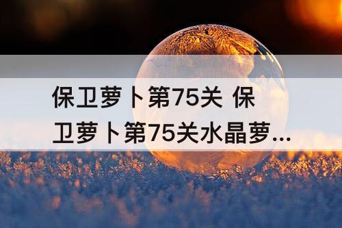保卫萝卜第75关 保卫萝卜第75关水晶萝卜攻略