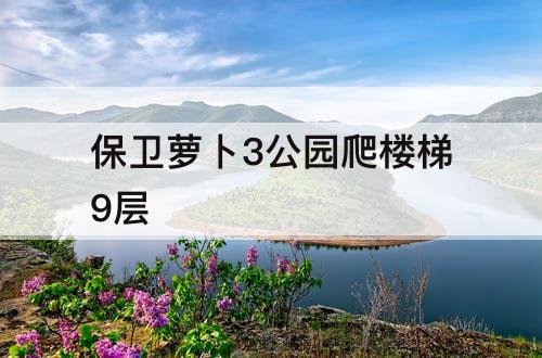 保卫萝卜3公园爬楼梯9层