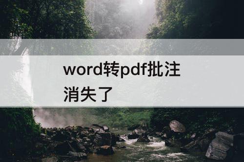 word转pdf批注消失了