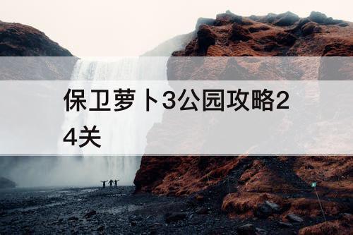 保卫萝卜3公园攻略24关