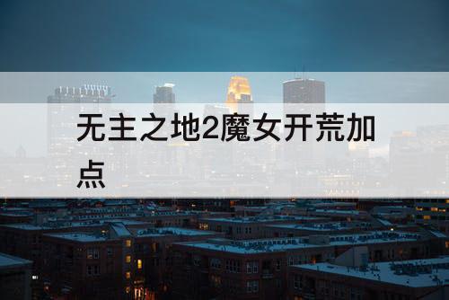 无主之地2魔女开荒加点