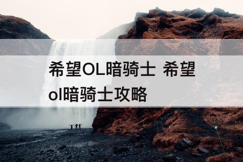 希望OL暗骑士 希望ol暗骑士攻略