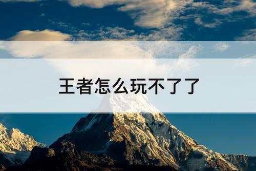 王者怎么玩不了了