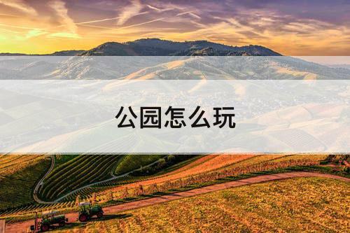公园怎么玩