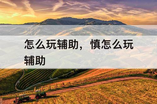怎么玩辅助，慎怎么玩辅助