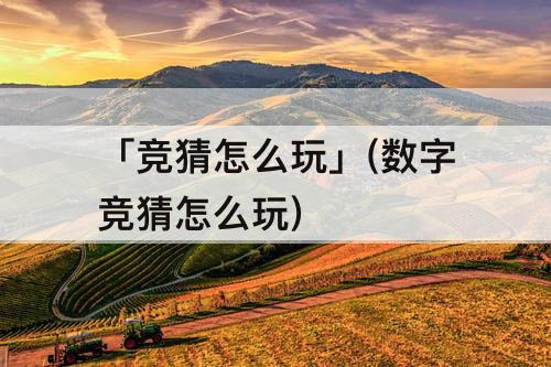 「竞猜怎么玩」(数字竞猜怎么玩)