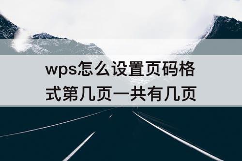 wps怎么设置页码格式第几页一共有几页