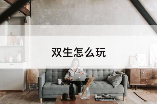 双生怎么玩
