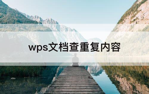 wps文档查重复内容