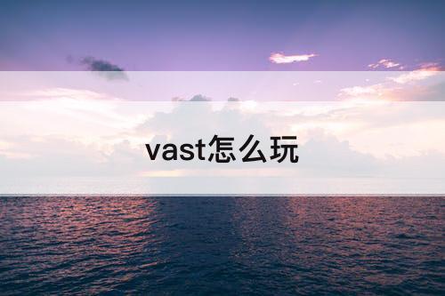 vast怎么玩