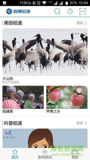 昭通广电截图