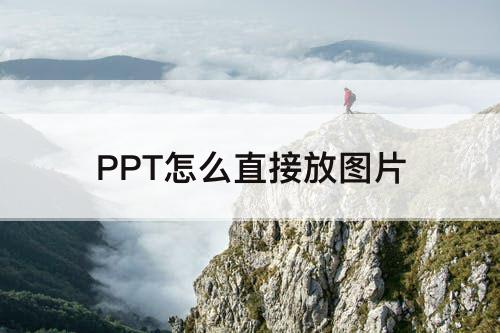 PPT怎么直接放图片
