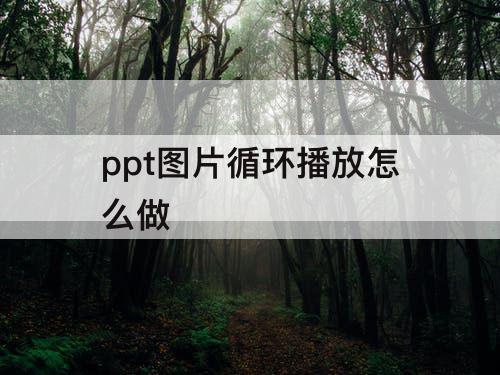 ppt图片循环播放怎么做