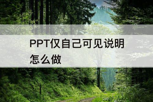 PPT仅自己可见说明怎么做