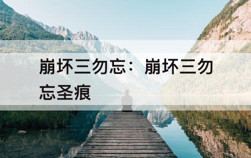 崩坏三勿忘：崩坏三勿忘圣痕