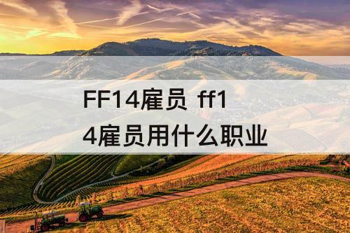 FF14雇员 ff14雇员用什么职业