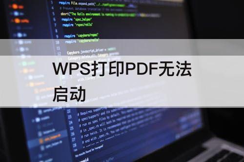 WPS打印PDF无法启动