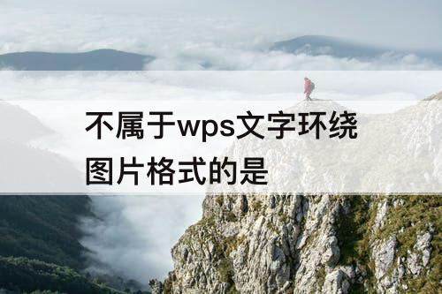 不属于wps文字环绕图片格式的是