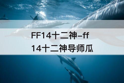 FF14十二神-ff14十二神导师瓜