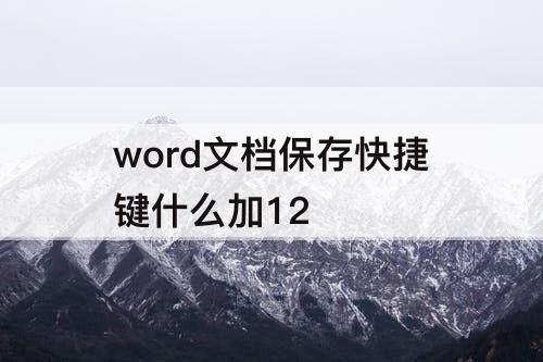 word文档保存快捷键什么加12