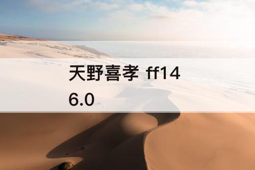 天野喜孝 ff14 6.0