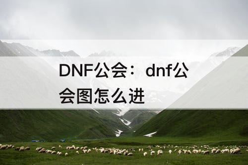 DNF公会：dnf公会图怎么进