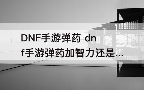 DNF手游弹药 dnf手游弹药加智力还是力量