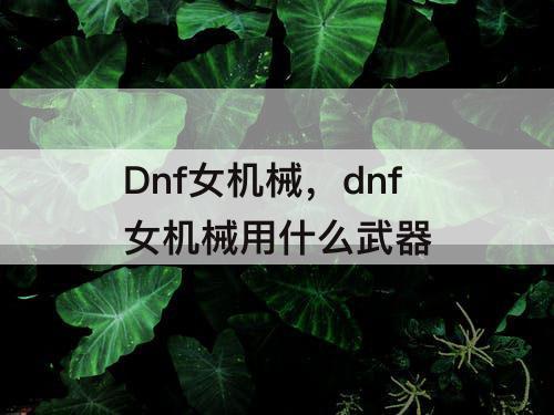 Dnf女机械，dnf女机械用什么武器