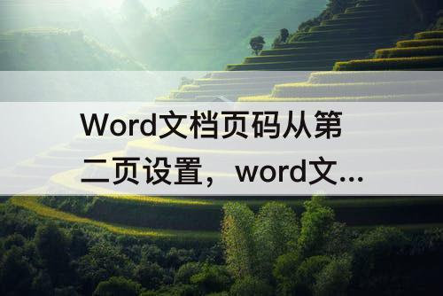 Word文档页码从第二页设置，word文档页码从第二页设置为1