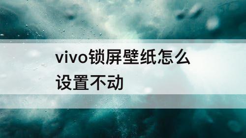 vivo锁屏壁纸怎么设置不动