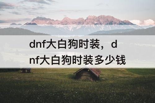 dnf大白狗时装，dnf大白狗时装多少钱