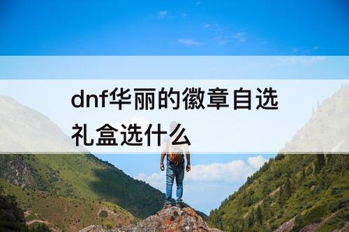 dnf华丽的徽章自选礼盒选什么