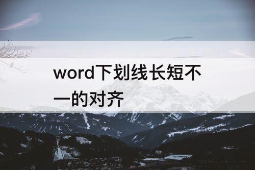 word下划线长短不一的对齐