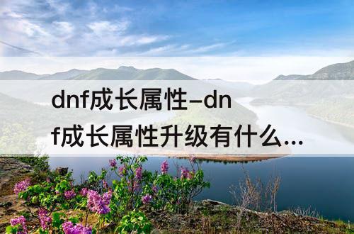 dnf成长属性-dnf成长属性升级有什么用