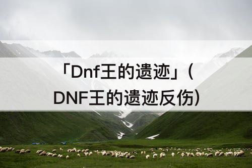 「Dnf王的遗迹」(DNF王的遗迹反伤)